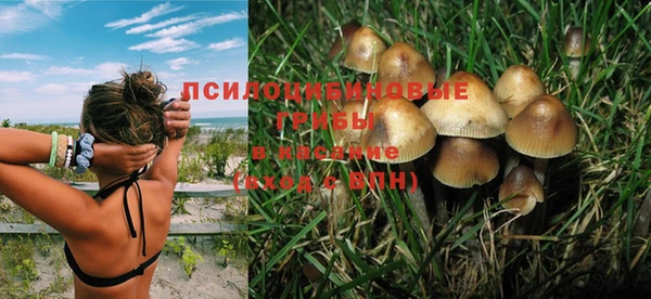первитин Алексеевка